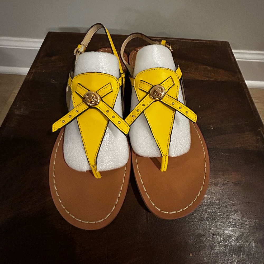 Coach Leather Thong Sandals